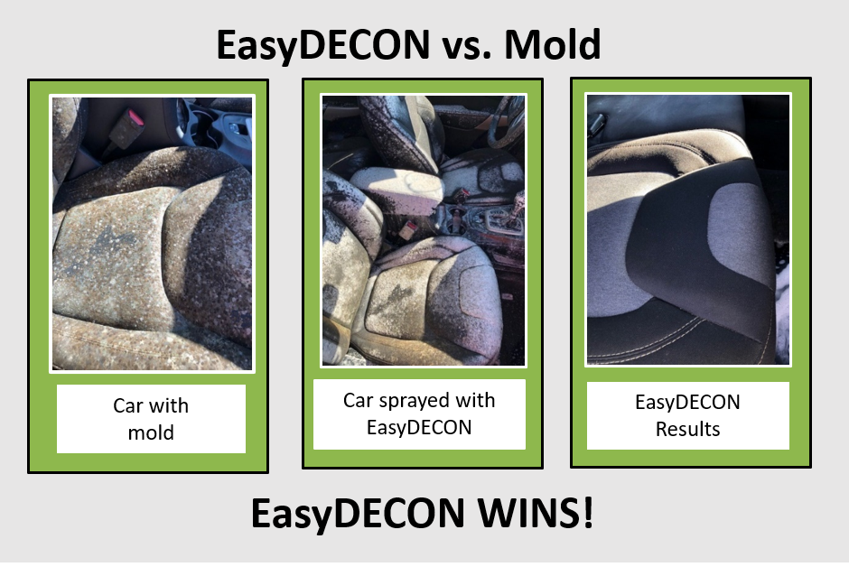 EasyDECON vs. Mold